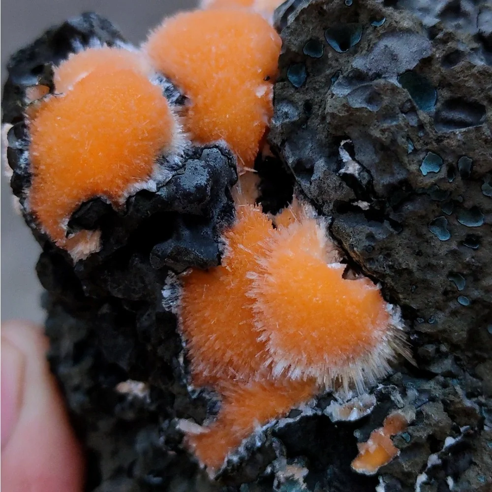 Orange Thomsonite Balls On Matrix, Natural Mineral Specimen From India